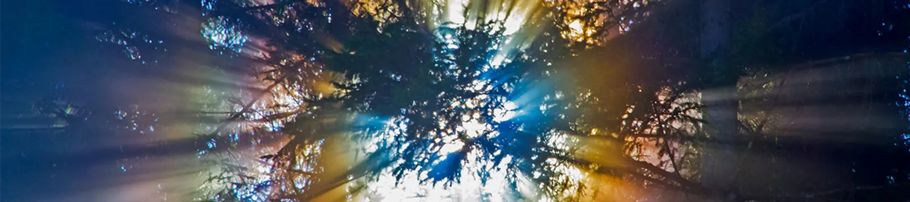 Kozmoenerji ve Yaşam